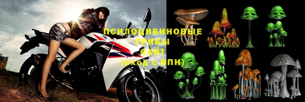 мдпв Алзамай