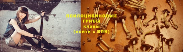 хмурый Алексеевка
