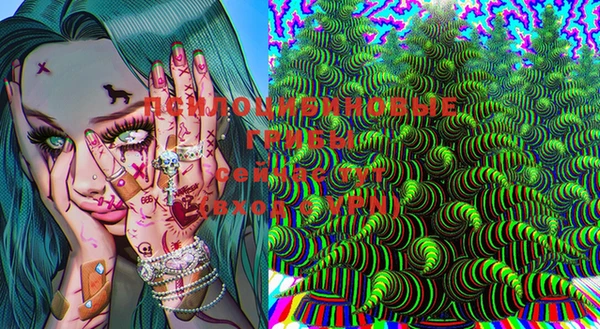 хмурый Алексеевка